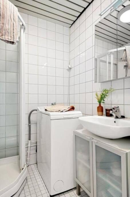 Praktisk 1-Roms Leilighet Oslo Ngoại thất bức ảnh