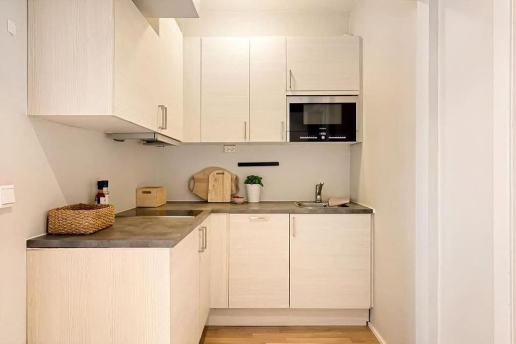 Praktisk 1-Roms Leilighet Oslo Ngoại thất bức ảnh
